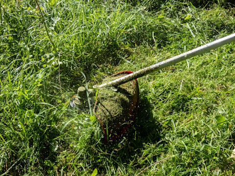 lawn-trimmer