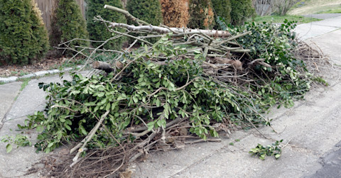 Cleaning debris