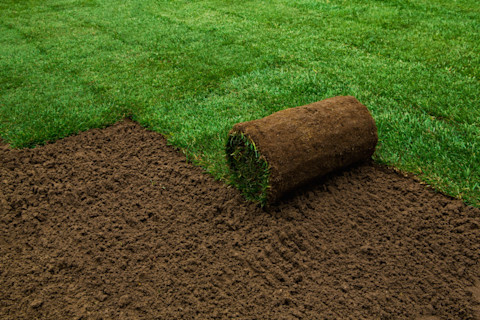 Turf prep 4