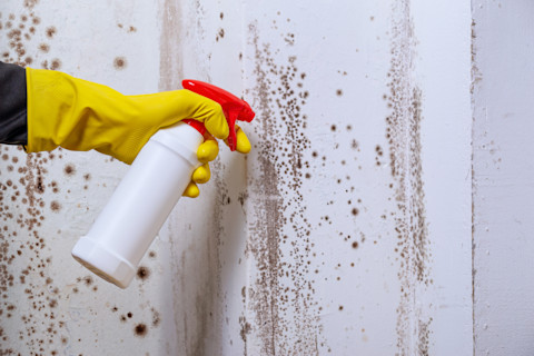 Wall clean 1