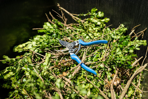 Weeding 1