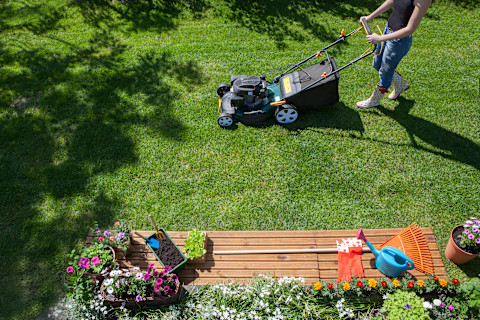 Grounds Maintenance