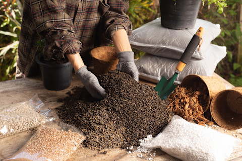 potting-soil-mixing