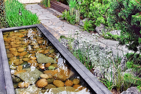 Modern garden pond design