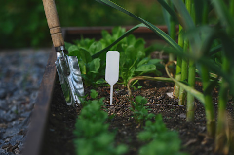 vegetable-plant-marker
