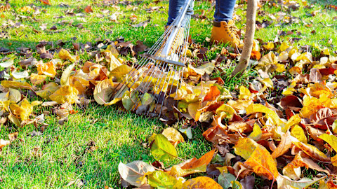 garden jobs in November 2