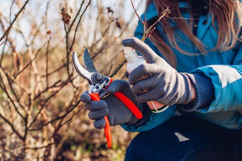 handyman cleaning garden tools