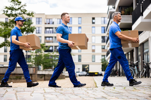 This image shows three removal workers carrying boxes to a residential building.