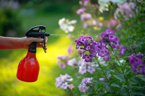 Garden Pest 3