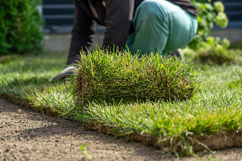 Fixing Grass 2