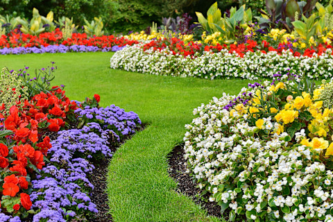 "Scenic view of colorful flowers blooming along a winding grass lawn path in a beautiful English-style landscape garden on a summer day."