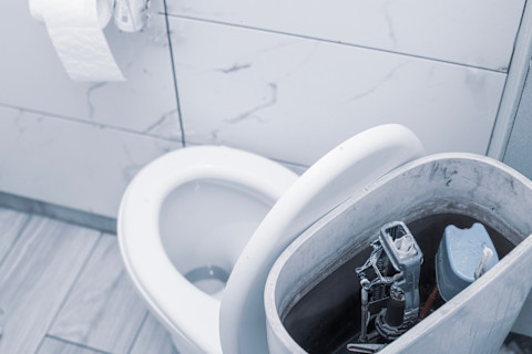 Toilet renovation