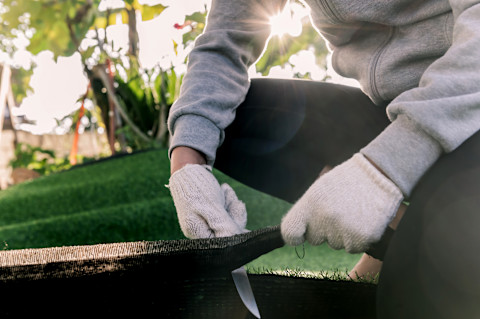 Artificial grass maintain 1