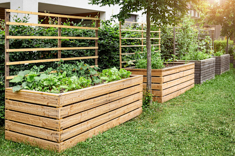 Vegetable garden ideas 2