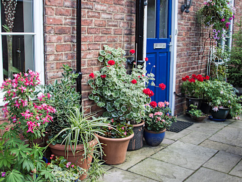 Potted garden ideas 2