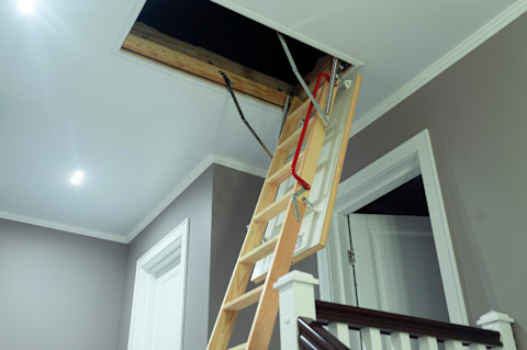 Loft ladder 1
