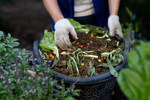 composting 2