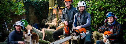tree-surgeon