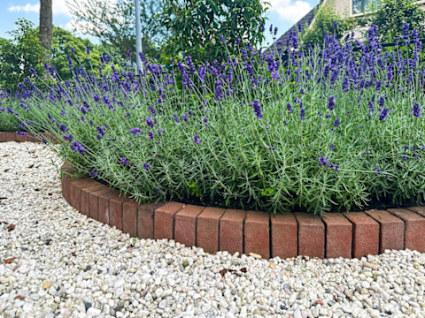 Flower Beds 3