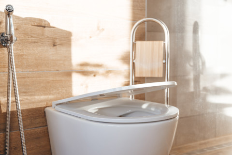 Toilet renovation 2