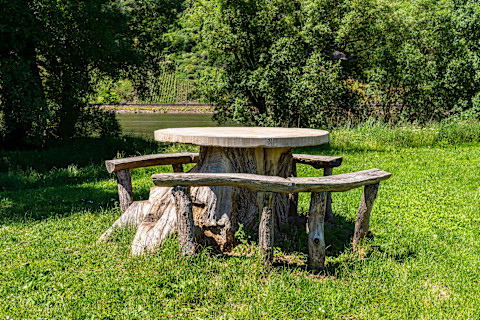 kill a tree stump 3 (1)