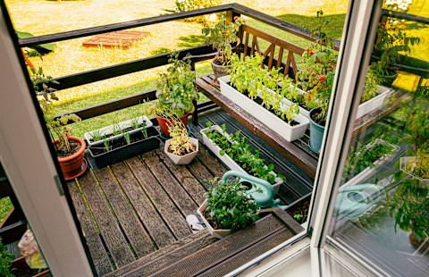Vegetable garden ideas 4