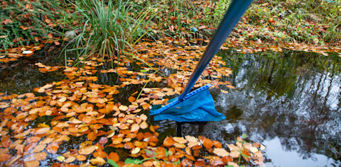 garden-pond-cleaning