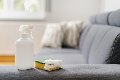 Cleaning upholstery 2