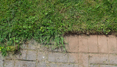 How to edge garden 4