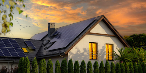 Eco friendly home