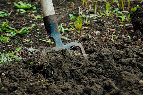 pitchfork-in-dirt