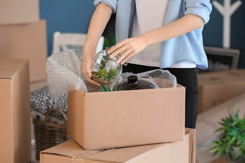 Packing items into a box