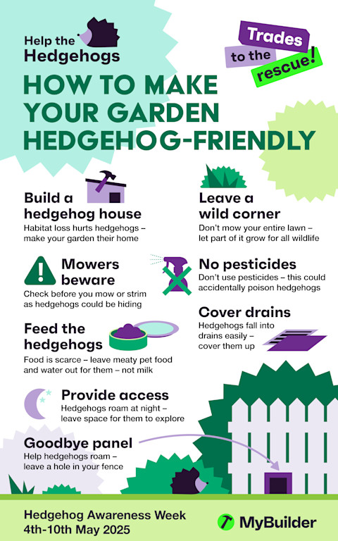 Infographic hedgehog friendly garden