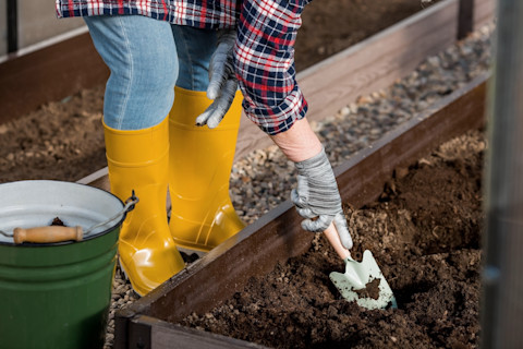 gardener-adding-soil-to-vegetable-patch