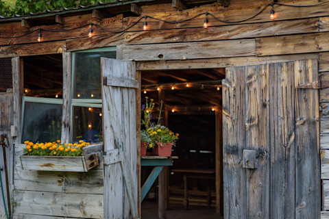 Shed decoration 3