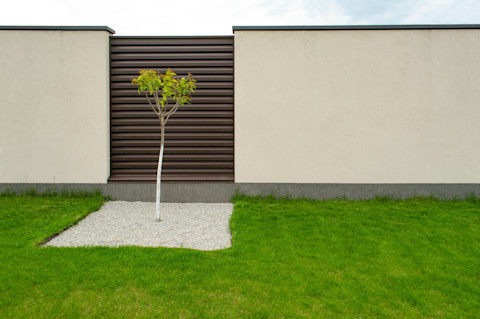 minimalist-garden-with-rendered-wall