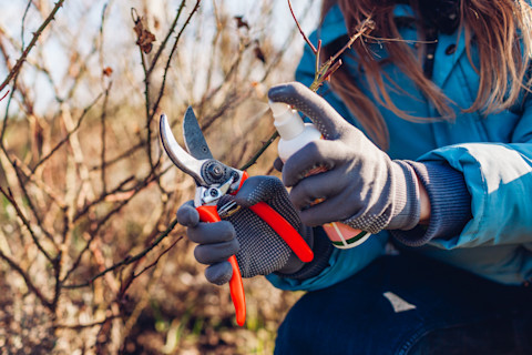handyman cleaning garden tools