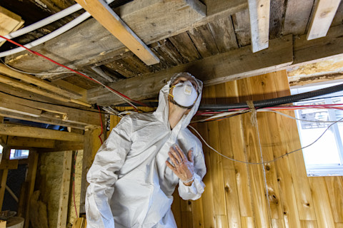 Dry rot treatment is taking place