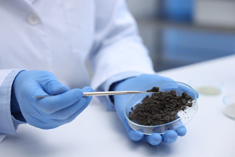 Soil testing cost 2