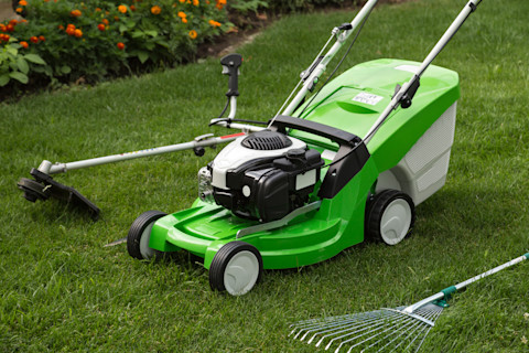 When to mow lawn 2