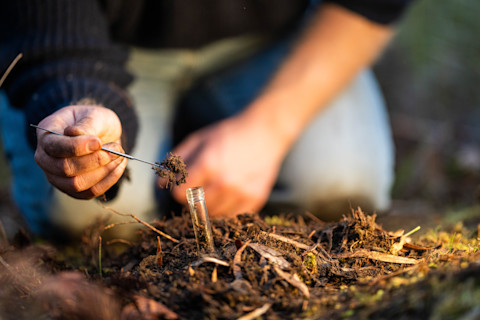 A technician analyzing soil samples, with test tubes and equipment.
