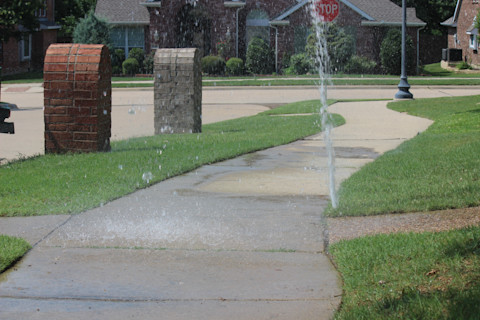 Broken sprinkler heads