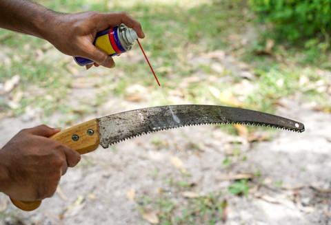 Clean Garden Tools 3