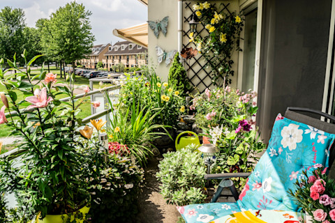 A variety of colorful flowers blooming in pots, arranged on a sunny balcony
