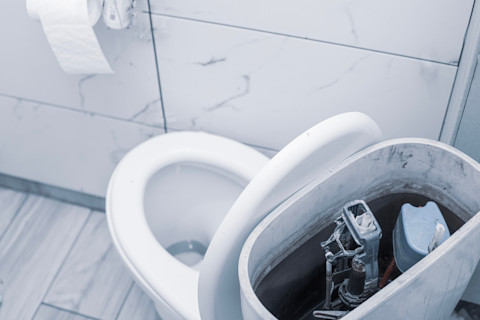 Toilet renovation
