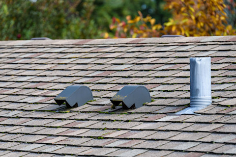 A suburban house rooftop with grey shingles, roof vents, and a small chimney. Autumn colours from magnolia trees are behind the roof on a sunny day
