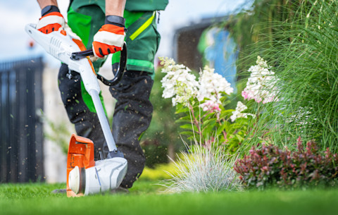 This image shows a professional gardener wearing protective gear using a lawn edger to trim clean edges along a garden lawn on a sunny day.