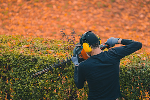professional-hedge-cutting