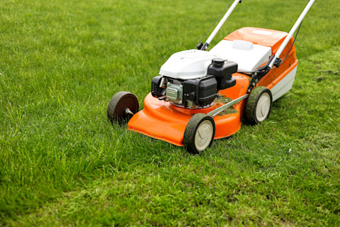 when to mow 3