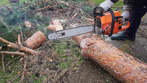 chainsawing-tree-trunk